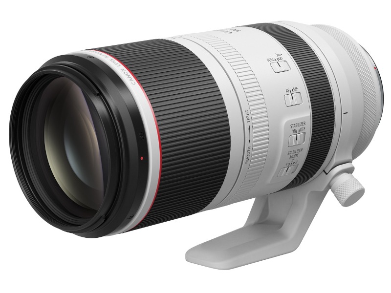 CANON RF100-500mm F4.5-7.1 L IS USM
